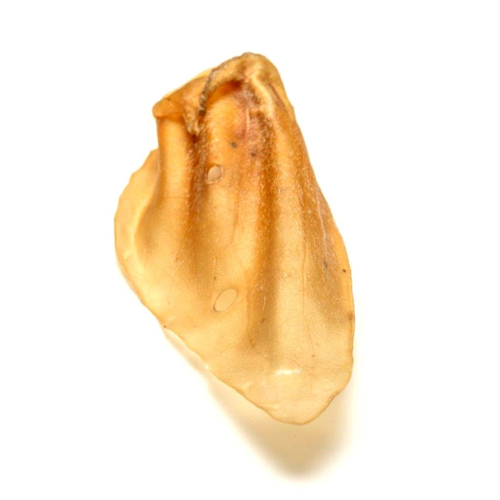 Orelha bovina