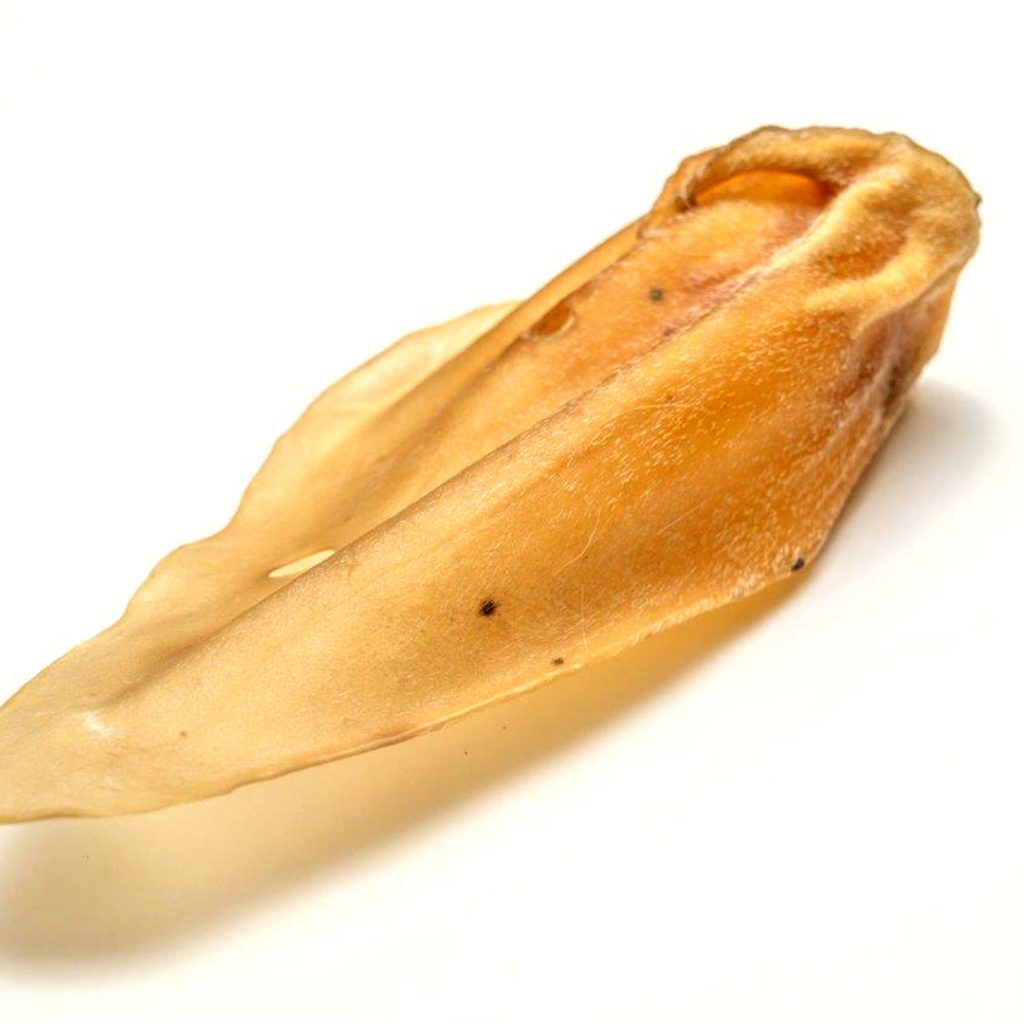 Orelha bovina